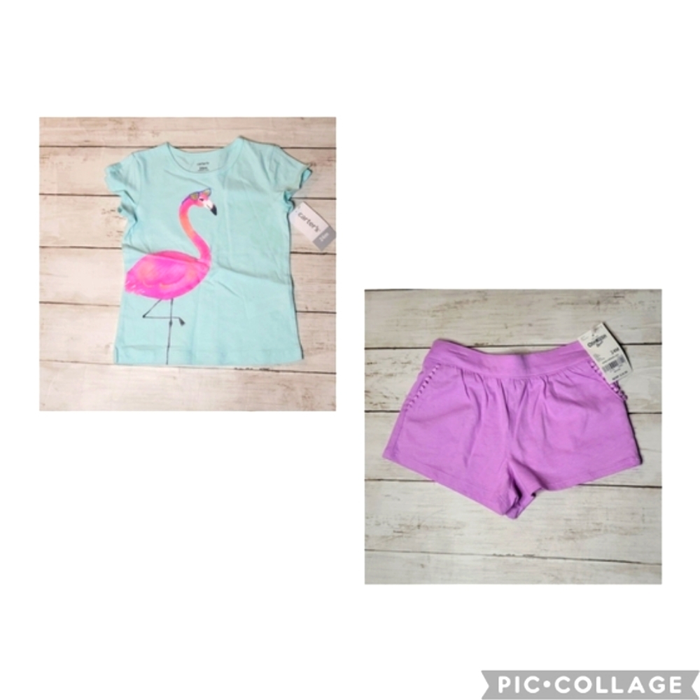 Carter's 2pc Flamingo Outfit